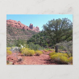 Cartão Postal Rochas Vermelhas e Cactos II na Arizona de Sedona