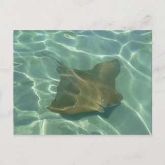 Cartão Postal Rochen im Meer Postkarte Grußkarte