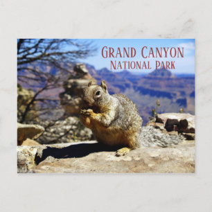 Cartão Postal Rock Squirrel em Rock Nibbling Snack, Grand Canyon