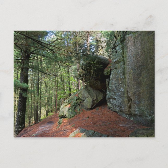 Cartão Postal Rock Wall e Woods no Castle Mound (Frente)