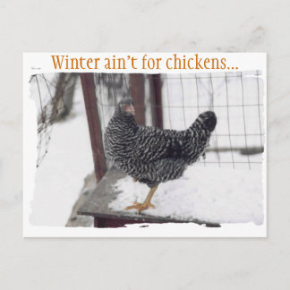 Cartão postal Rocky