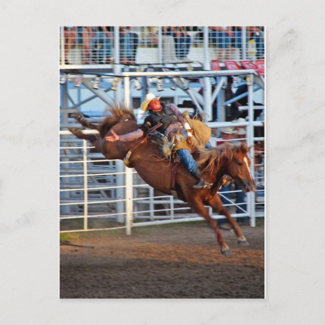 Cartão Postal Rodeio! (Frente)