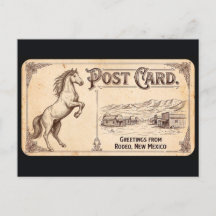Rodeio, Novo México - Postcard Vintage Cavalo