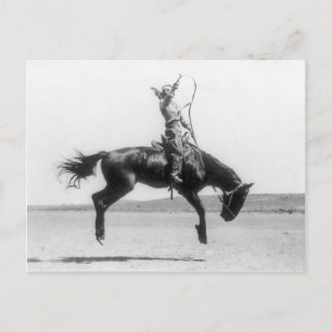 Cartão Postal Rodeo Cowgirl sobre a foto da colheita de cavalos