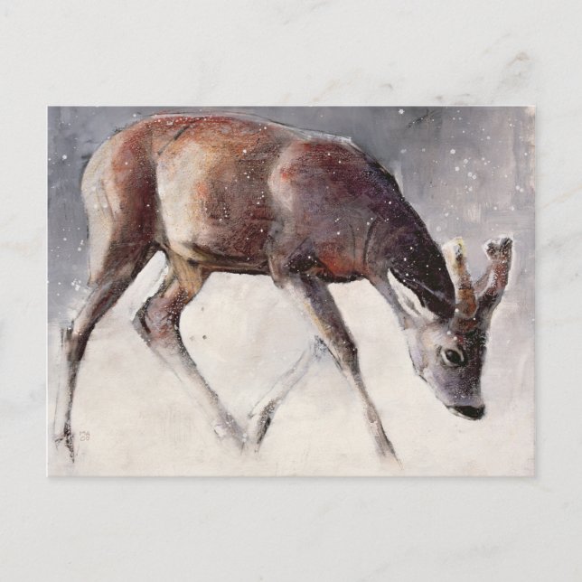 Cartão Postal Roe Buck Winter 2000 (Frente)