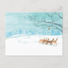 Roe Deer Group no inverno