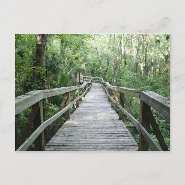 Cartão Postal Rolagem Pacífica (Frente)