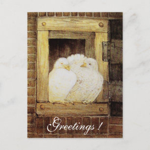 Cartão Postal ROLAS BRANCAS NA JANELA marrom amarelo antigo