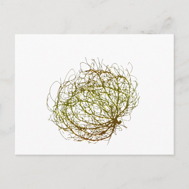 Cartão Postal Rolling Ouro Tumbleweed Plant Art (Frente)