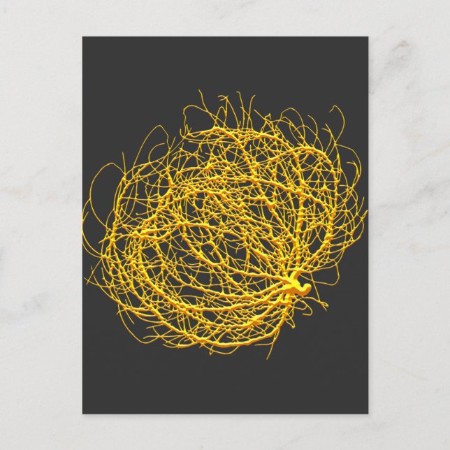 Cartão Postal RollinGolden Tumbleweed Planta Original (Frente)