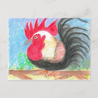 Cartão Postal rolo rollo