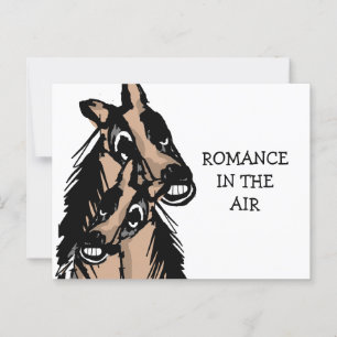 Cartão Postal Romance No Ar