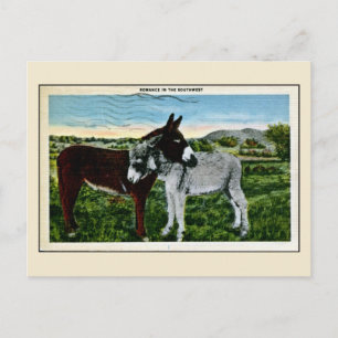 Cartão Postal Romance no Sudoeste, amor