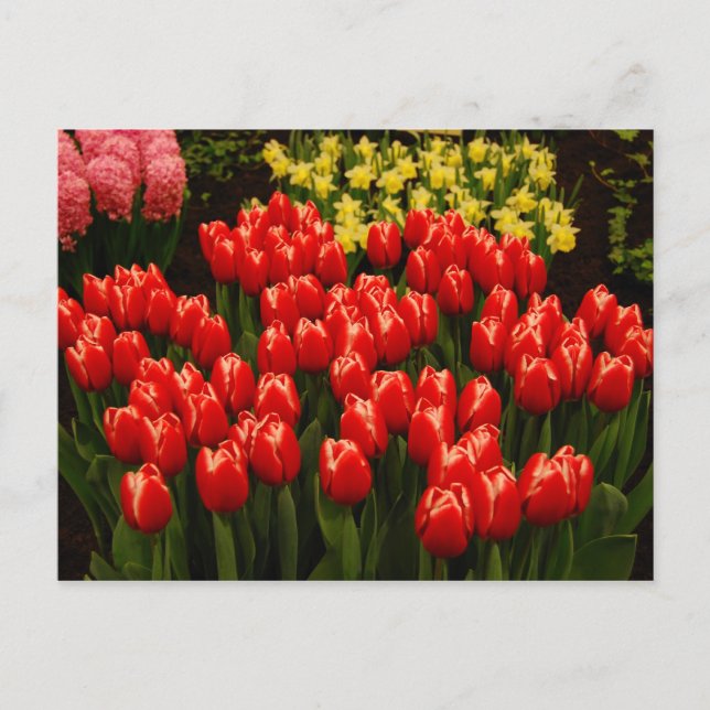 Cartão Postal Romance Russo (Frente)