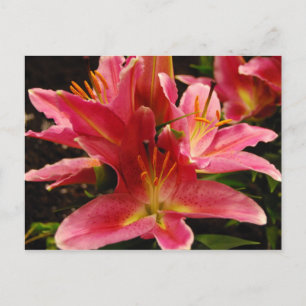 Cartão Postal Romance Russo