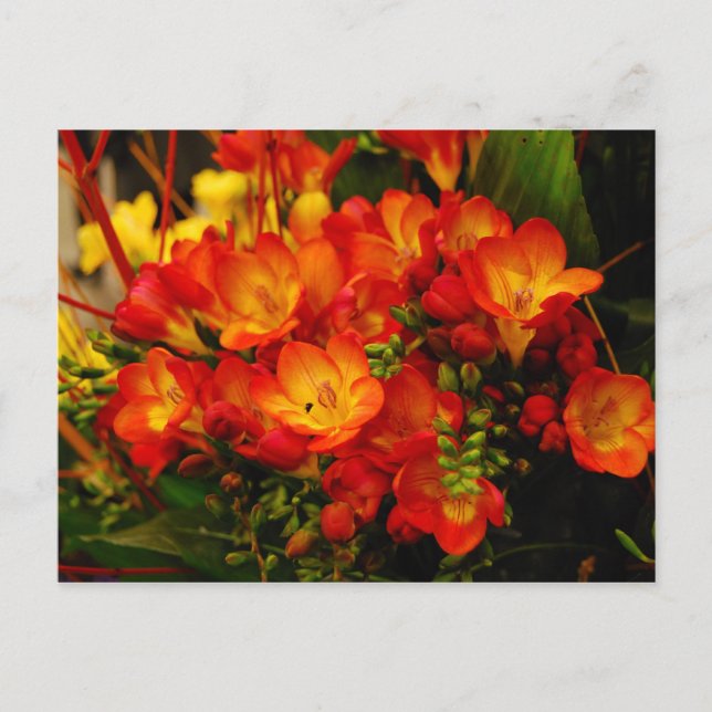 Cartão Postal Romance Russo (Frente)