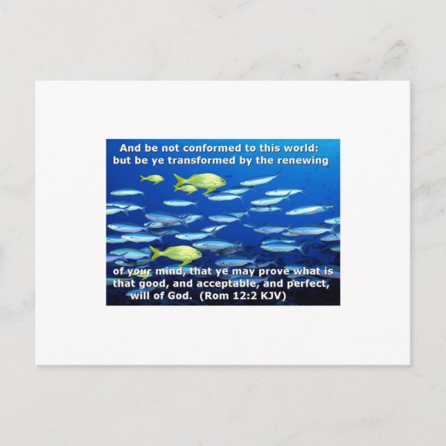 Cartão Postal Romanos 12:2 (Frente)