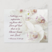 Cartao Postal Romanos 8 38 39 Nada Nos Separa Zazzle Com Br