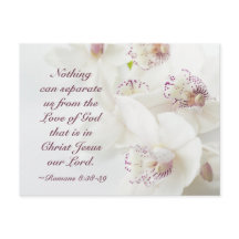 Romanos 8:39 Bíblia do Amor de Deus Orquídeas Bran