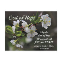 Romans 15:13 God of Hope White Flowers