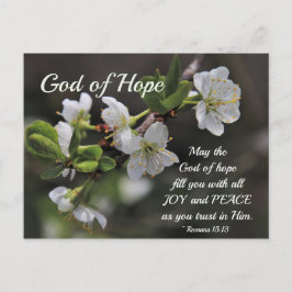 Cartão Postal Romans 15:13 God of Hope White Flowers