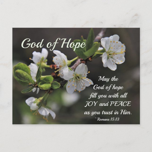 Cartão Postal Romans 15:13 God of Hope White Flowers (Frente)