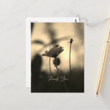 Romantic Sepia Flower – Botanical Fantasy Thanks