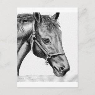 Cartão Postal Romeo