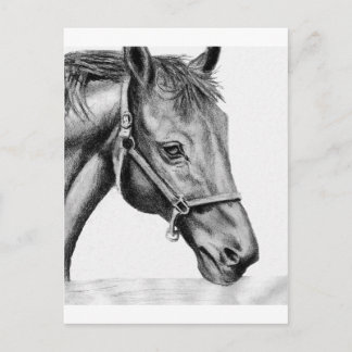 Cartão Postal Romeo