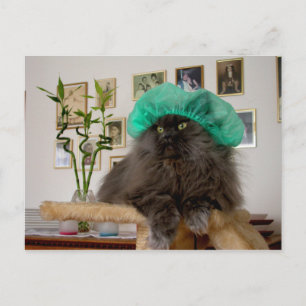 Cartão Postal Romeo