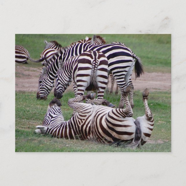 Cartão Postal Rompendo Sobre (Frente)