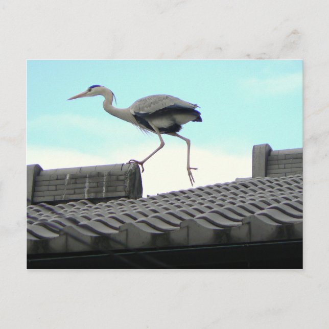 Cartão Postal Roof Walker (Frente)