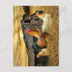 Cartão Postal Rooster Hens Russo Barn Coop