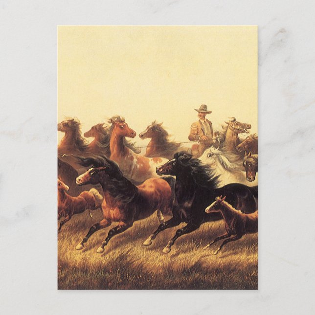 Cartão Postal Roping Wild Horses de James Walker (Frente)