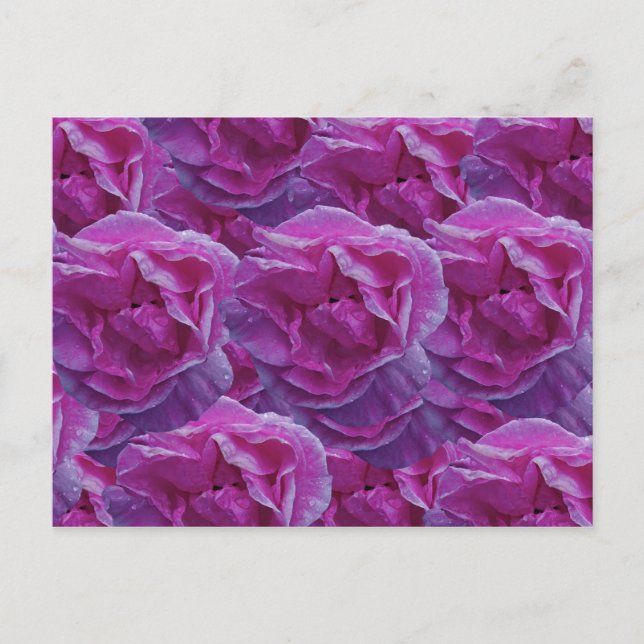 Cartão postal rosa (Frente)