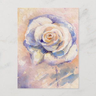 Cartão Postal Rosa