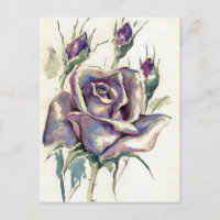 ROSA 3