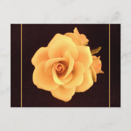 Cartão Postal Rosa Amarela, Foto de 2004.