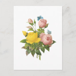 Cartão Postal Rosa amarela persa, rosa de chá por Redouté