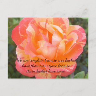 Cartão Postal Rosa amarelo e laranja estriados