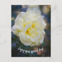 Rosa amarelo pálido