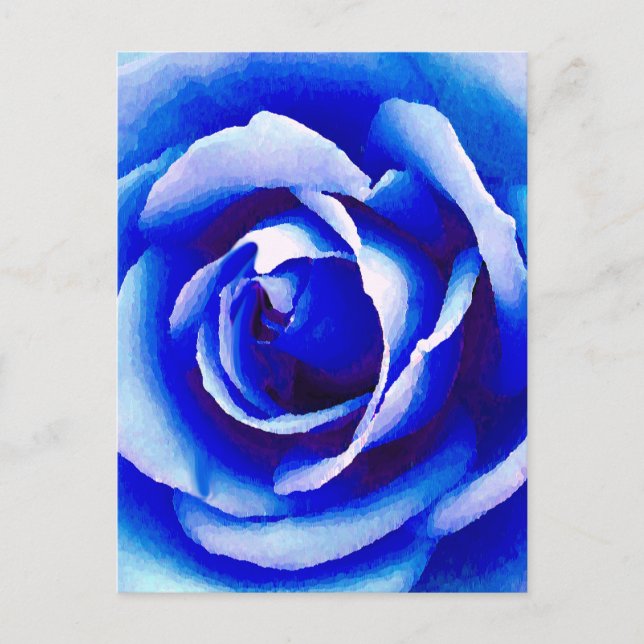 Cartão Postal Rosa azul_ (Frente)