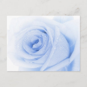 Cartão postal rosa azul