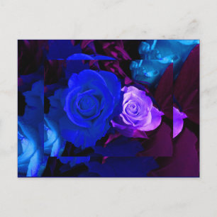 Cartão Postal Rosa azul-roxo