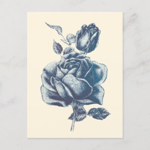 Cartão Postal Rosa Azul Vintage Elegante
