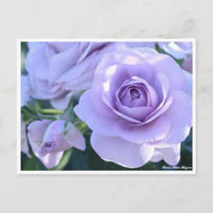 Cartão Postal Rosa Blue Bajou