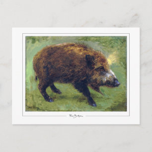 Cartão Postal Rosa Bonheur #18 - Belas Artes