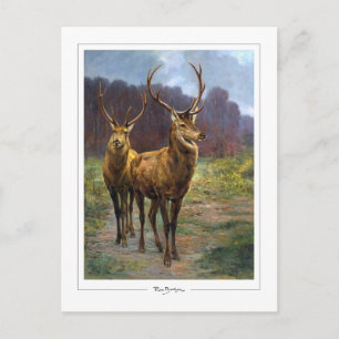Cartão Postal Rosa Bonheur #57 - Belas Artes