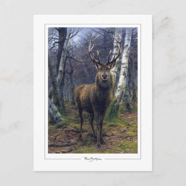 Cartão Postal Rosa Bonheur #5 - Belas Artes (Frente)