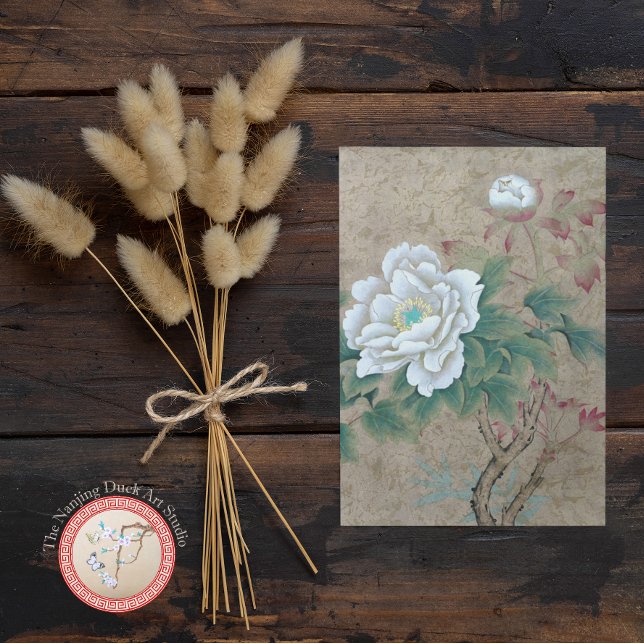 Cartão Postal Rosa branca (Criador carregado)